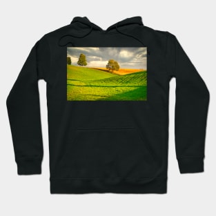 Summer Country Scene Hoodie